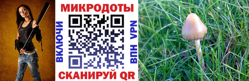 Псилоцибиновые грибы Cubensis Давлеканово